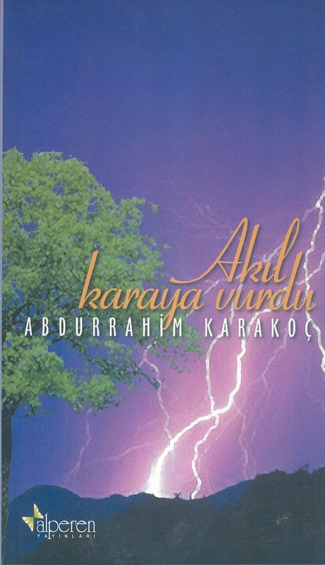 Akil Karaya Vurdu - Image 2