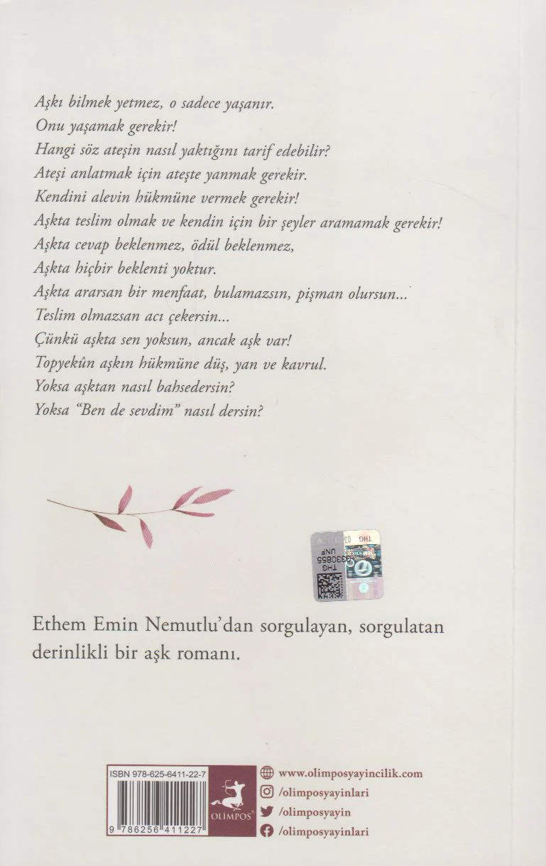 Ben De Sevdim - Image 3