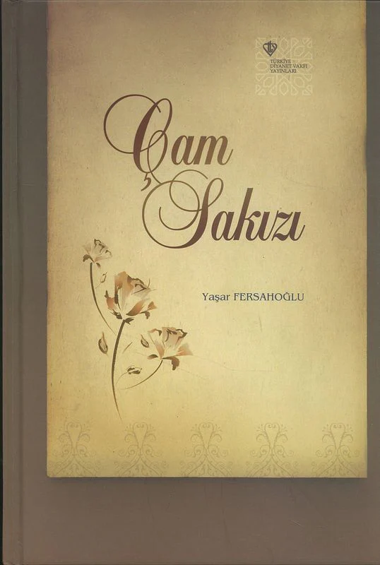 Cam Sakizi - Image 2