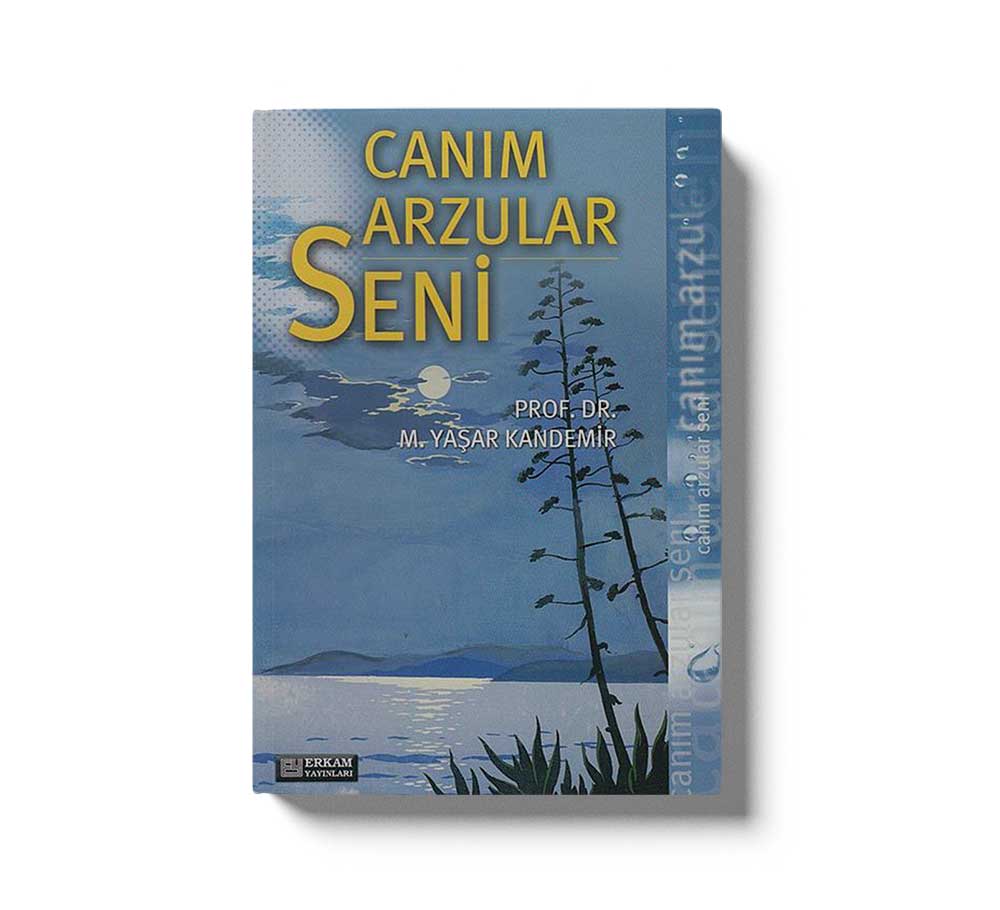 Canım Arzular Seni - Image 2