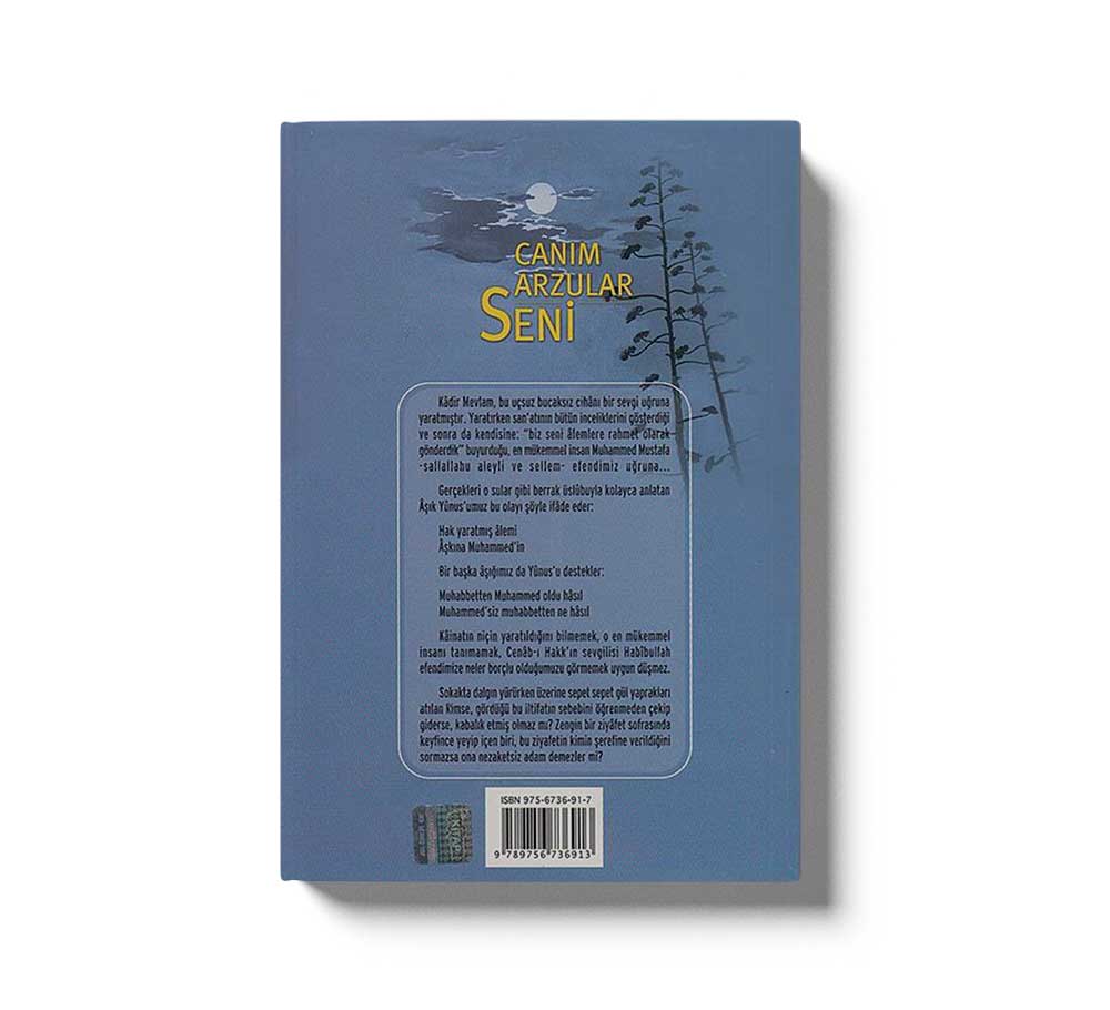 Canım Arzular Seni - Image 3