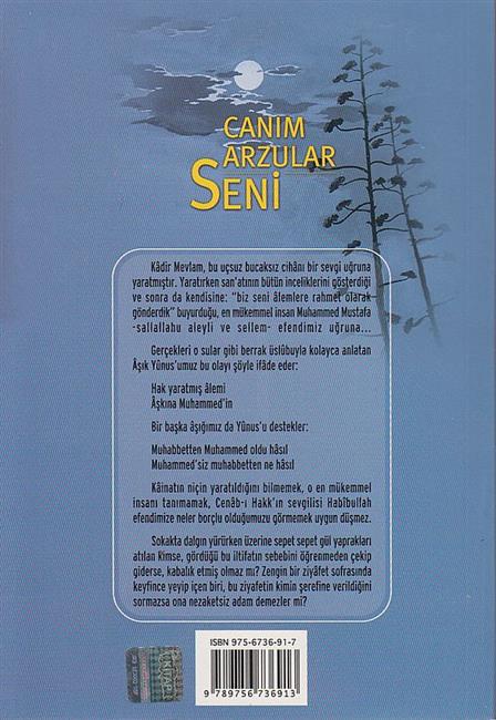 Canım Arzular Seni - Image 4