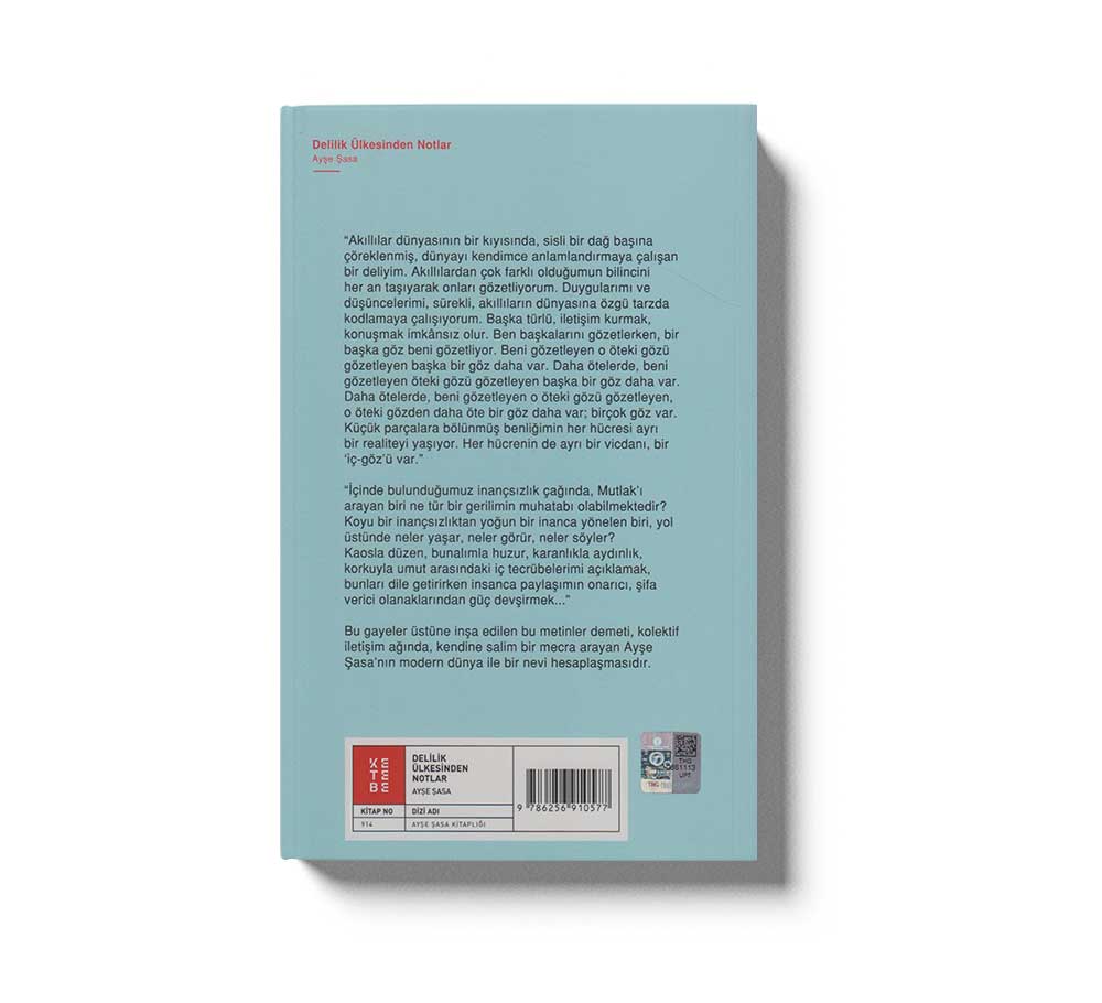 Delilik Ülkesinden Notlar - Image 2