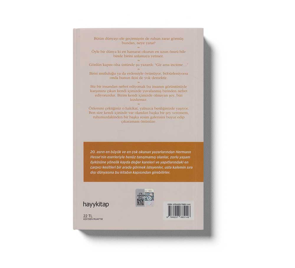 Dünyada Kendim Kadar Az Bildigim Baska Hic Birsey YokHermann Hesseden Hayat Dersleri - Image 2