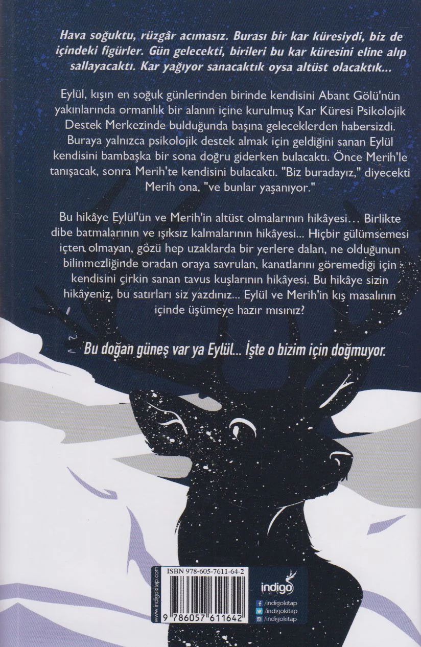 Kar Küresi - Ciltli - Image 2