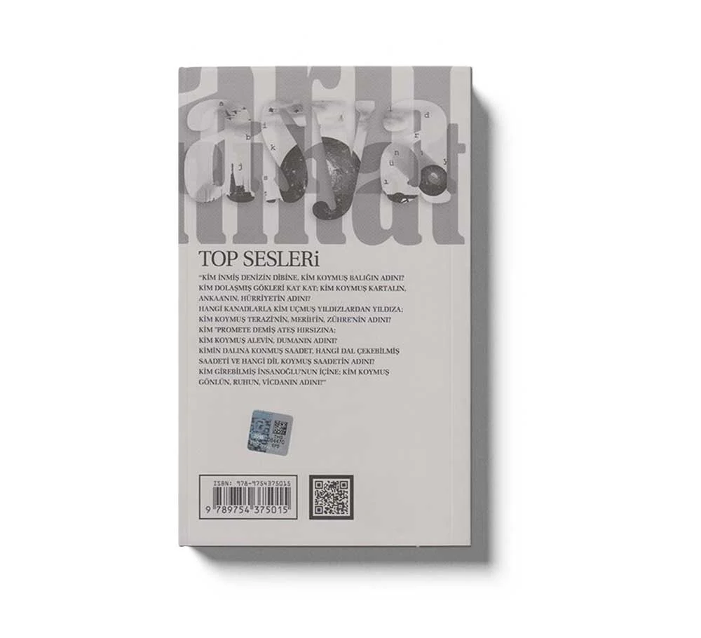 Top Sesleri - Image 2
